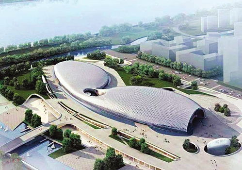 杭州奥体中心主体育馆 游泳馆通过主体结构验收