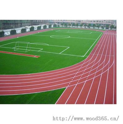 江都 橡胶跑道设计-上海铭尚体育设施有限公司